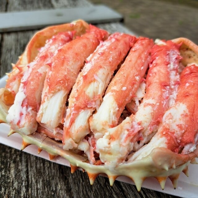 鮮魚木村