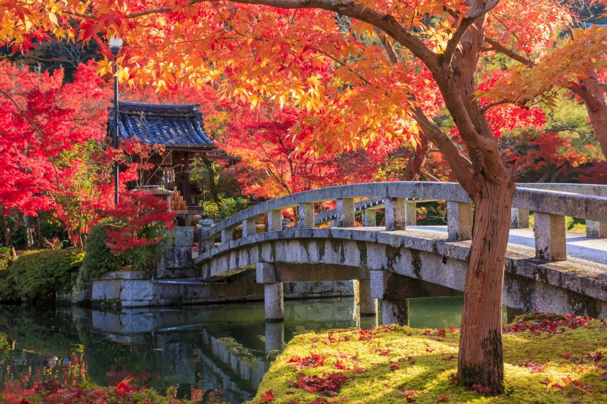 永觀堂(禪林寺)