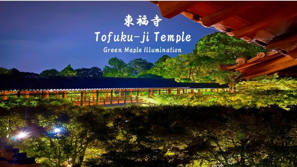 東福寺的四季魅力
