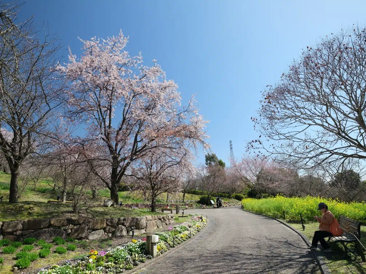 宇治市植物公園
