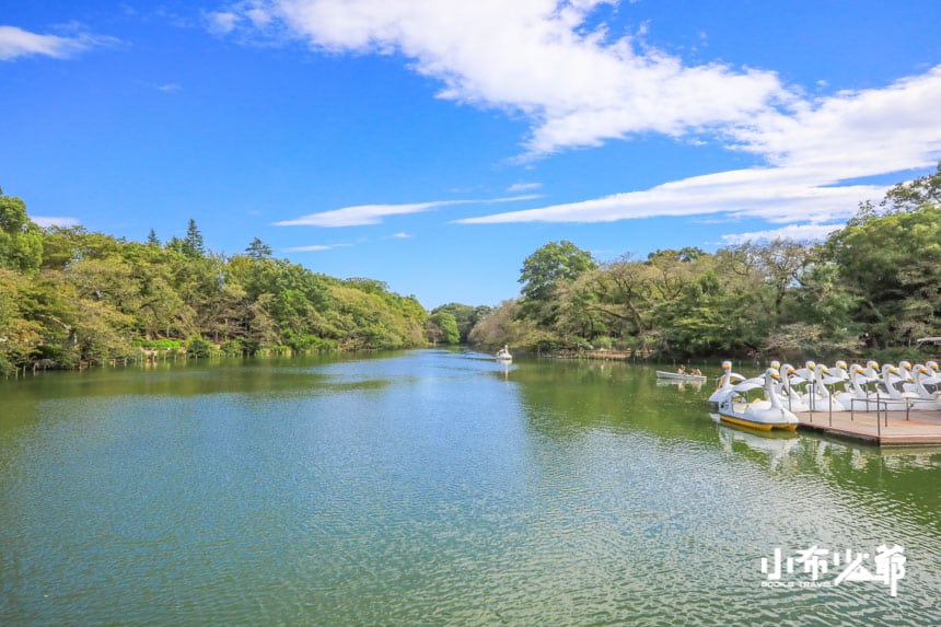 井之頭恩賜公園:吉祥寺的綠色心臟與四季風景