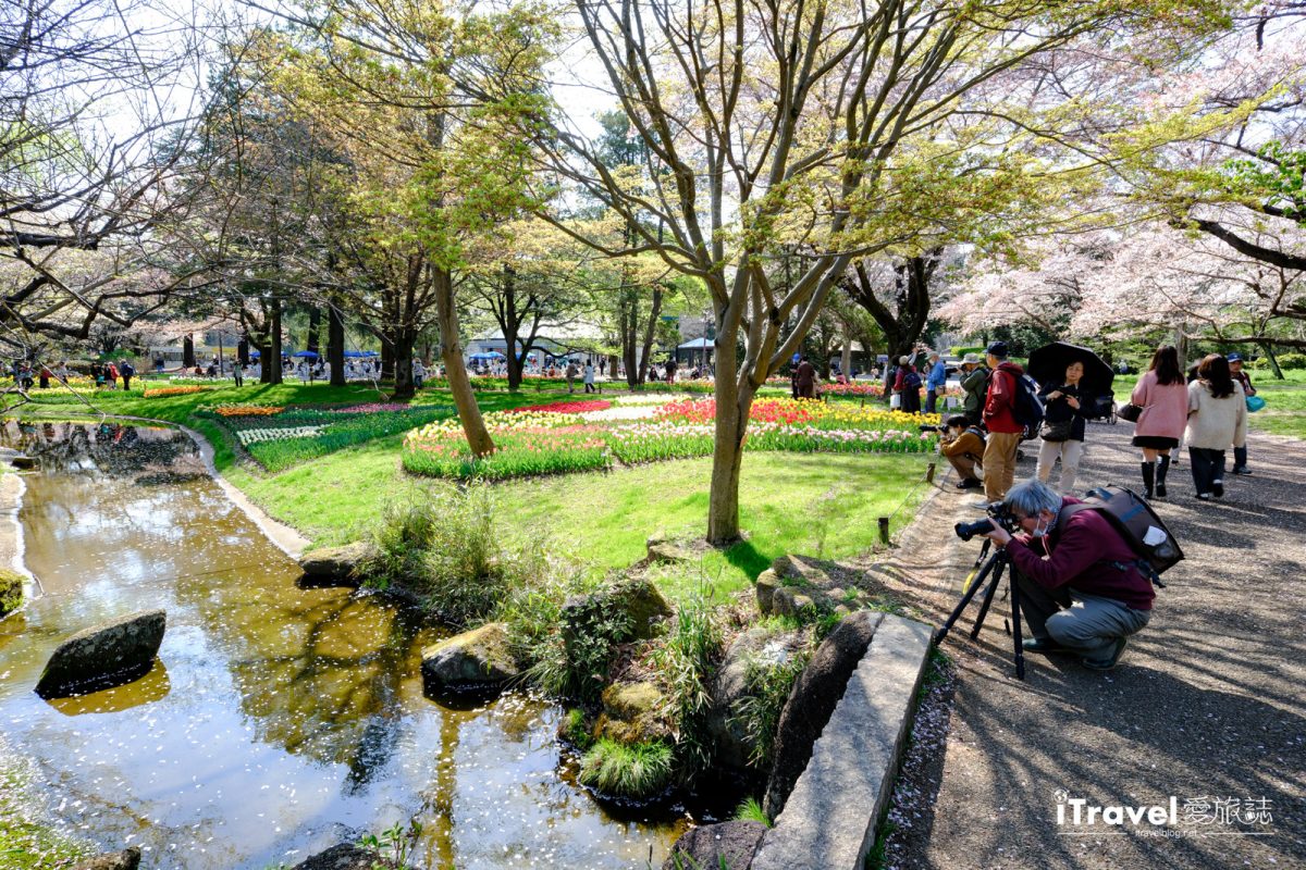 日本庭園