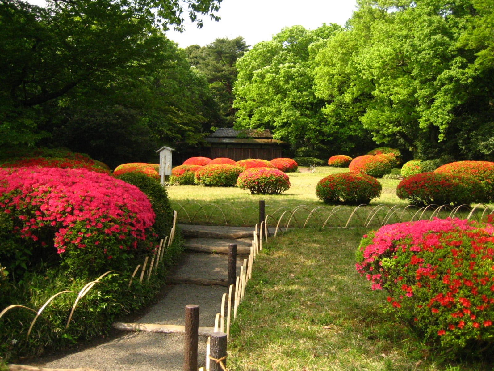 明治神宮內苑