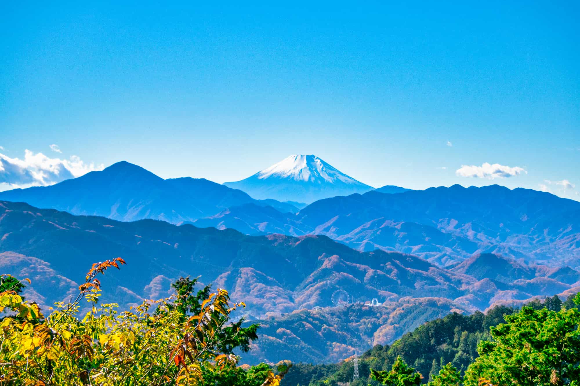 淨心門