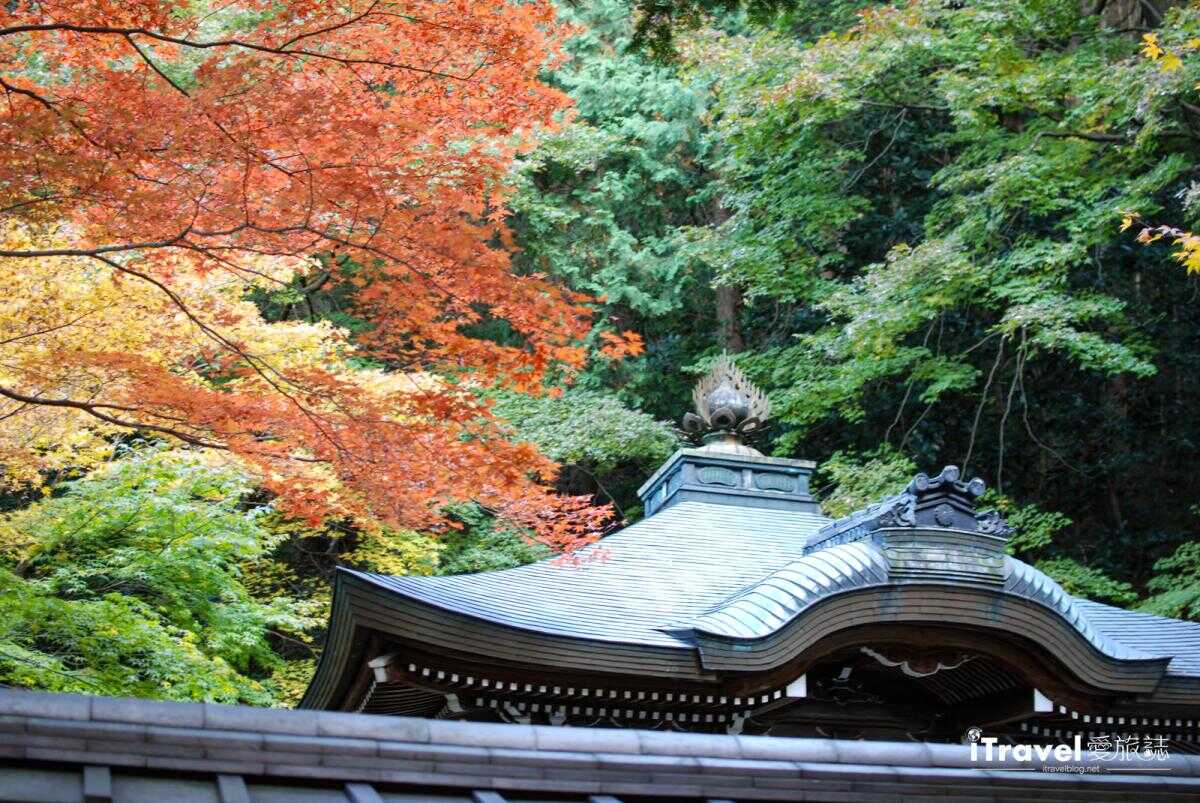 方丈庭園（本坊庭園）拜觀券