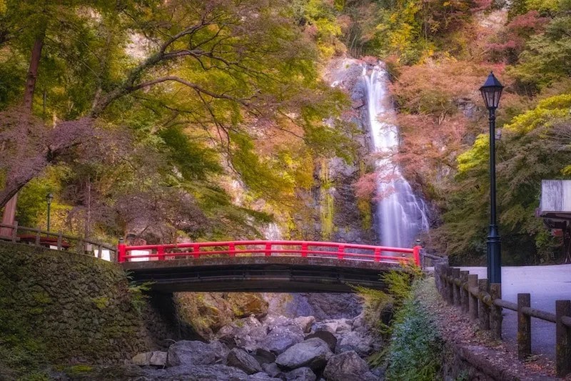 Osaka's Minoo Park | Kansai's Best Kept Secret for Autumn