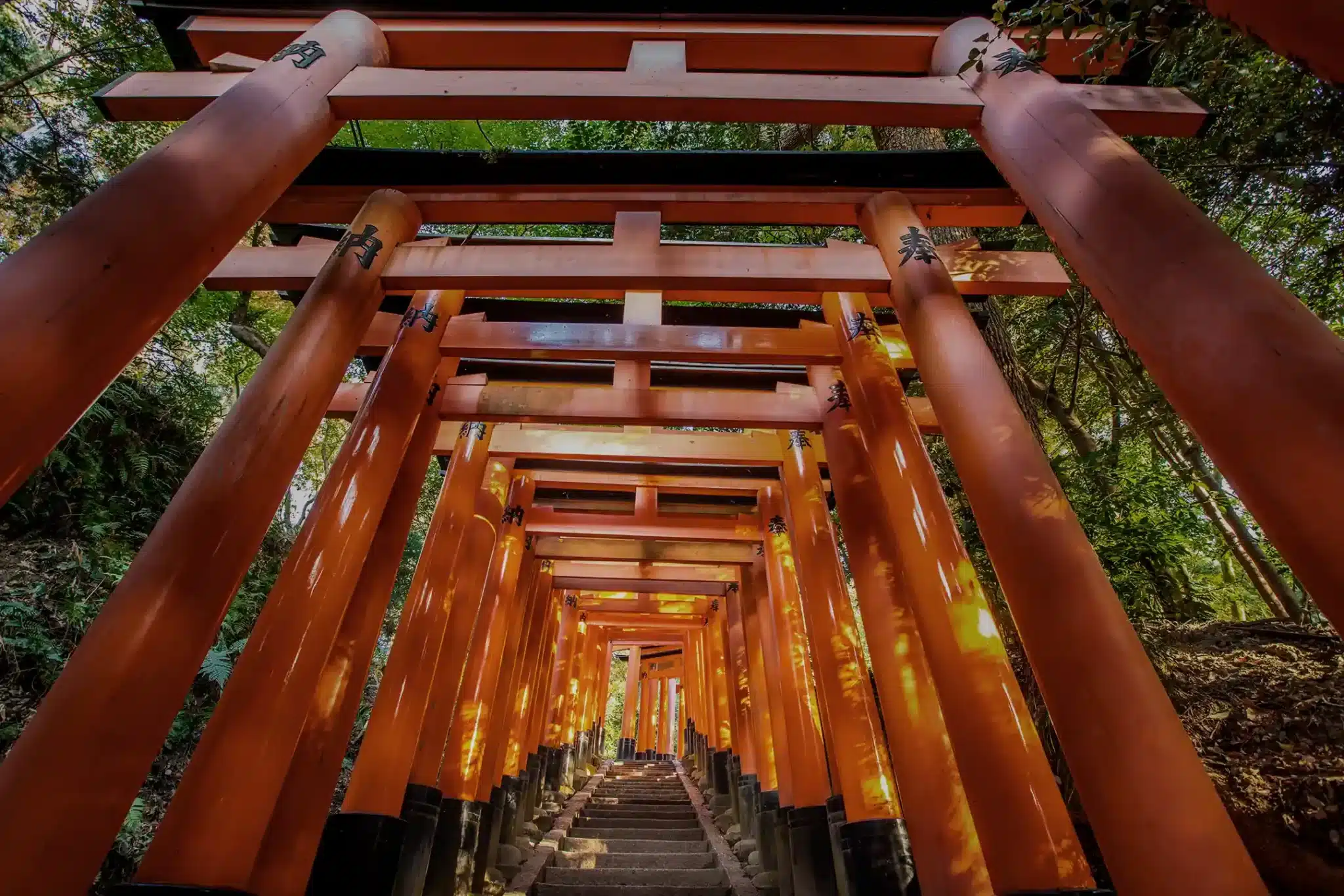 稲荷山登山步道