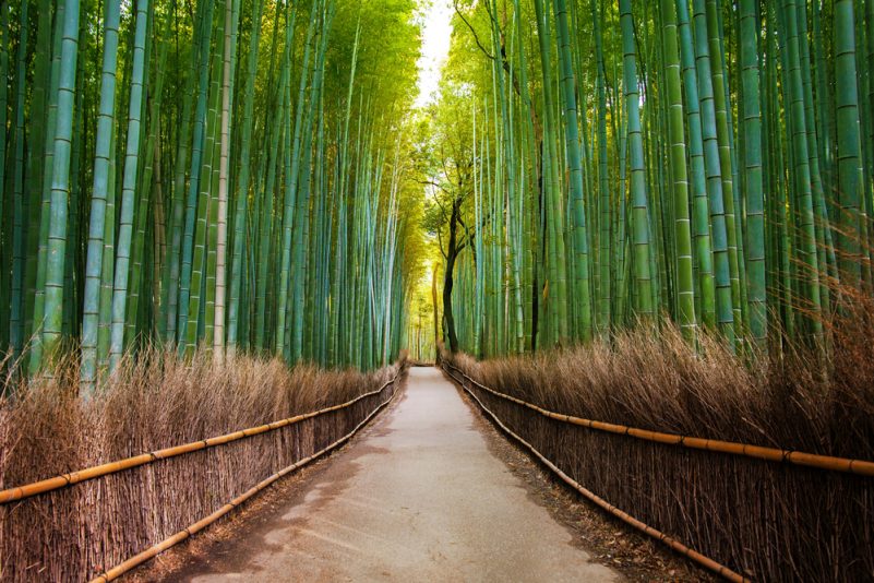 天龍寺