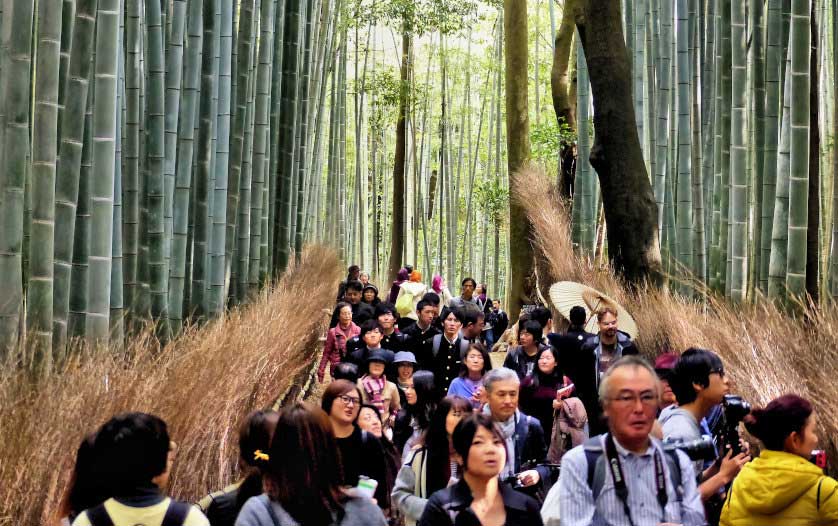 嵐山半日遊:竹林小徑與天龍寺