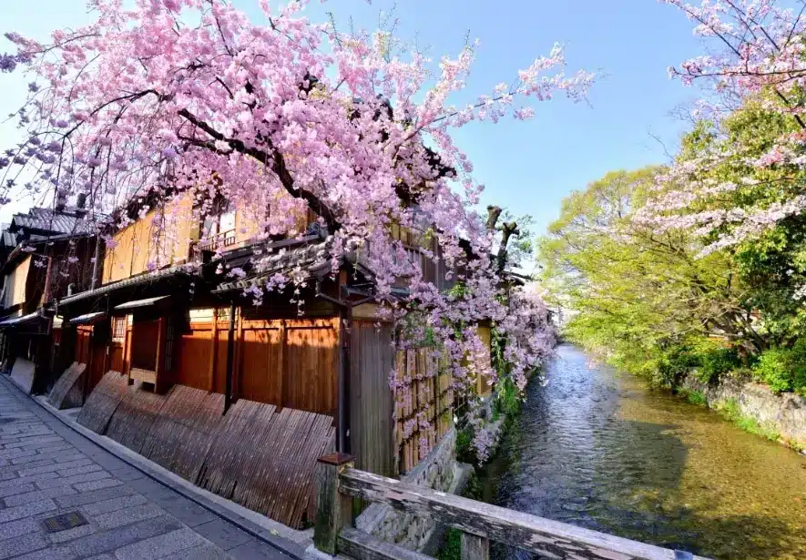 祇園白川