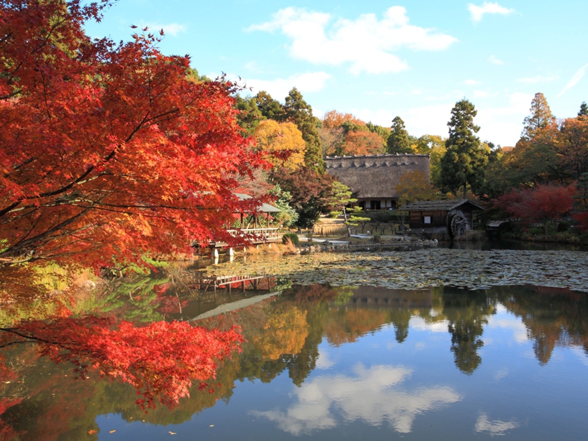 東山動植物園