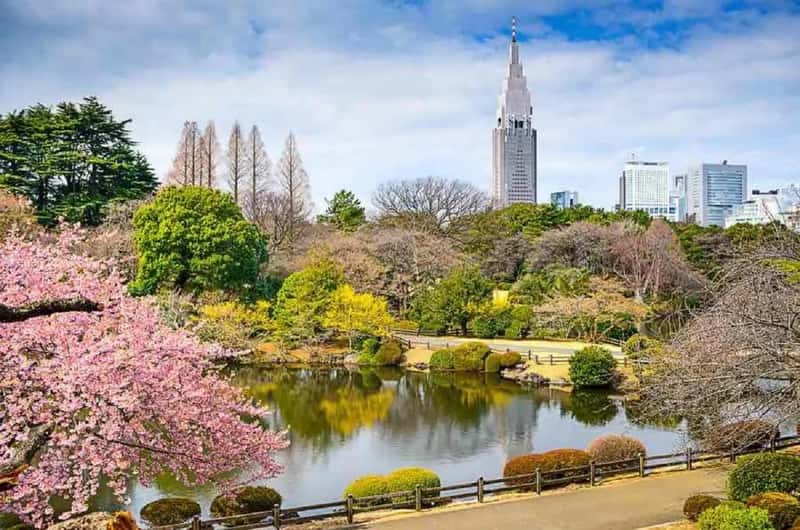 新宿御苑私人導覽