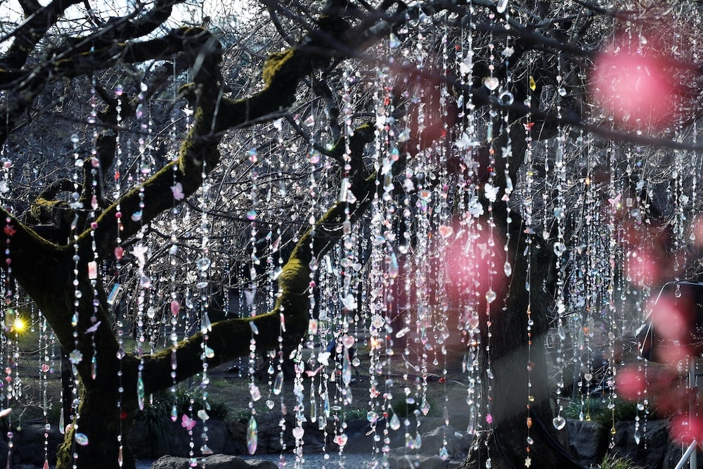 KYOTO NIPPON FESTIVAL蜷川實花聯名展