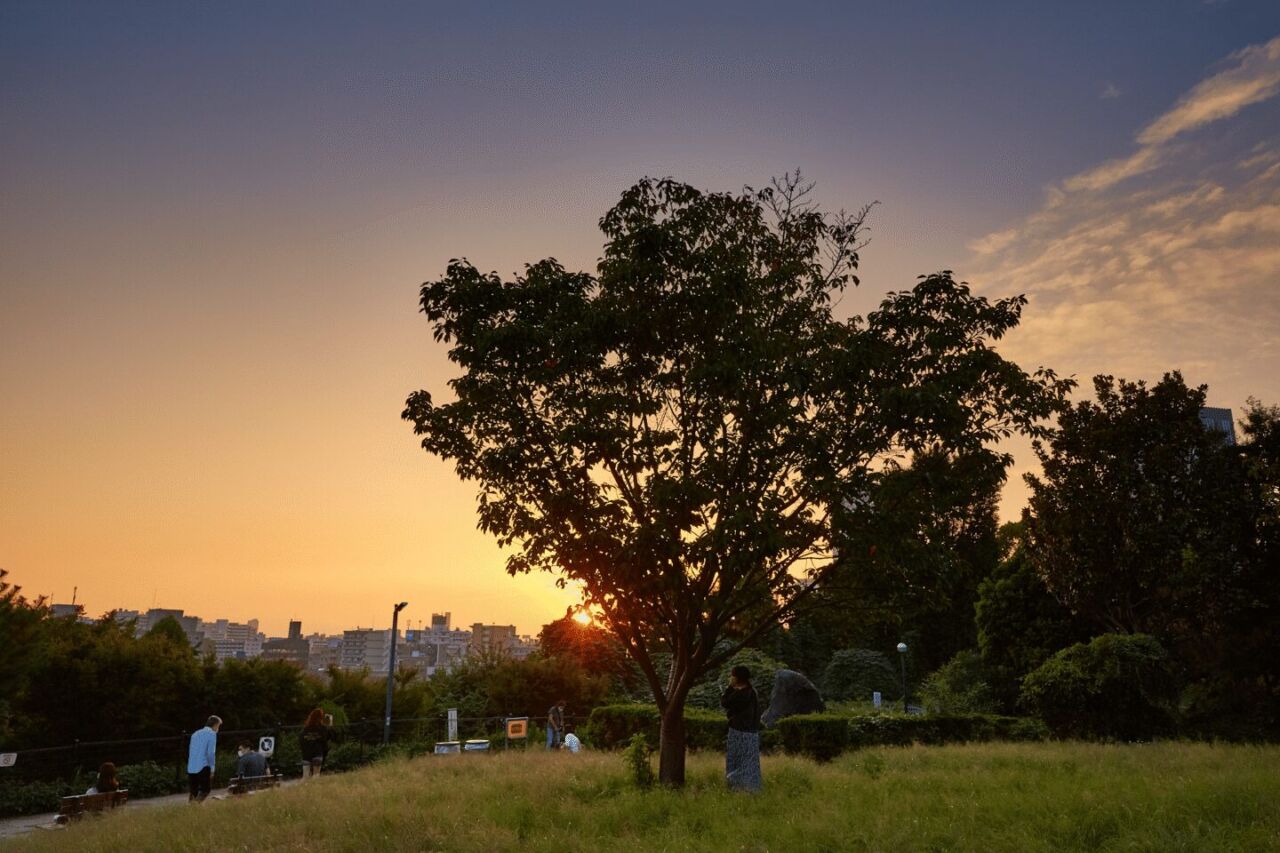 西鄉山公園
