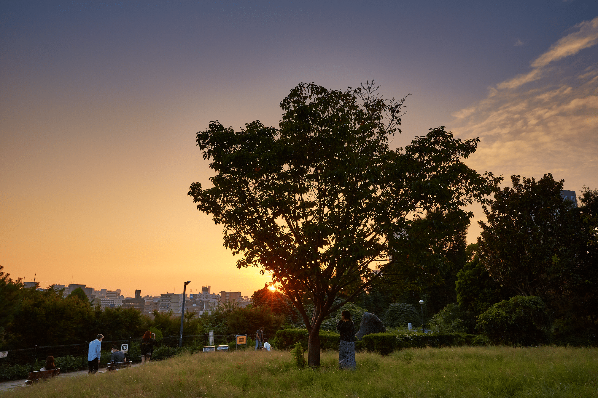 西鄉山公園