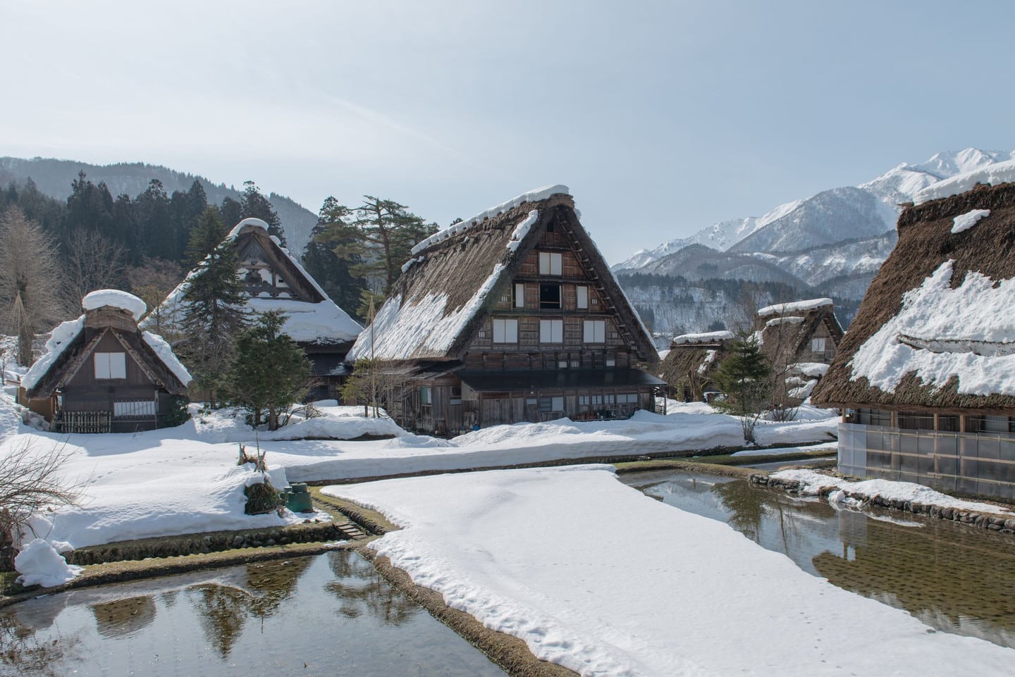 和田家