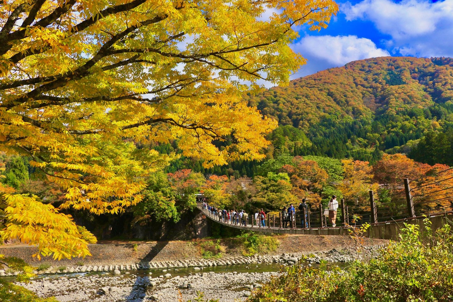 邂逅橋