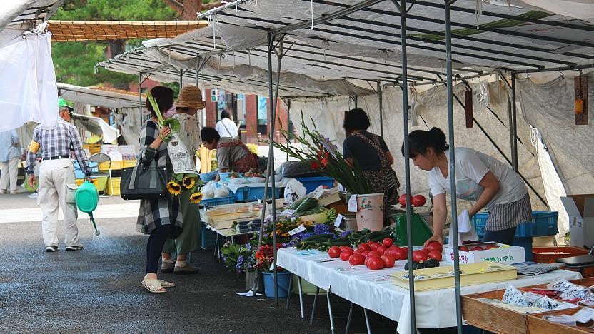 宮川朝市