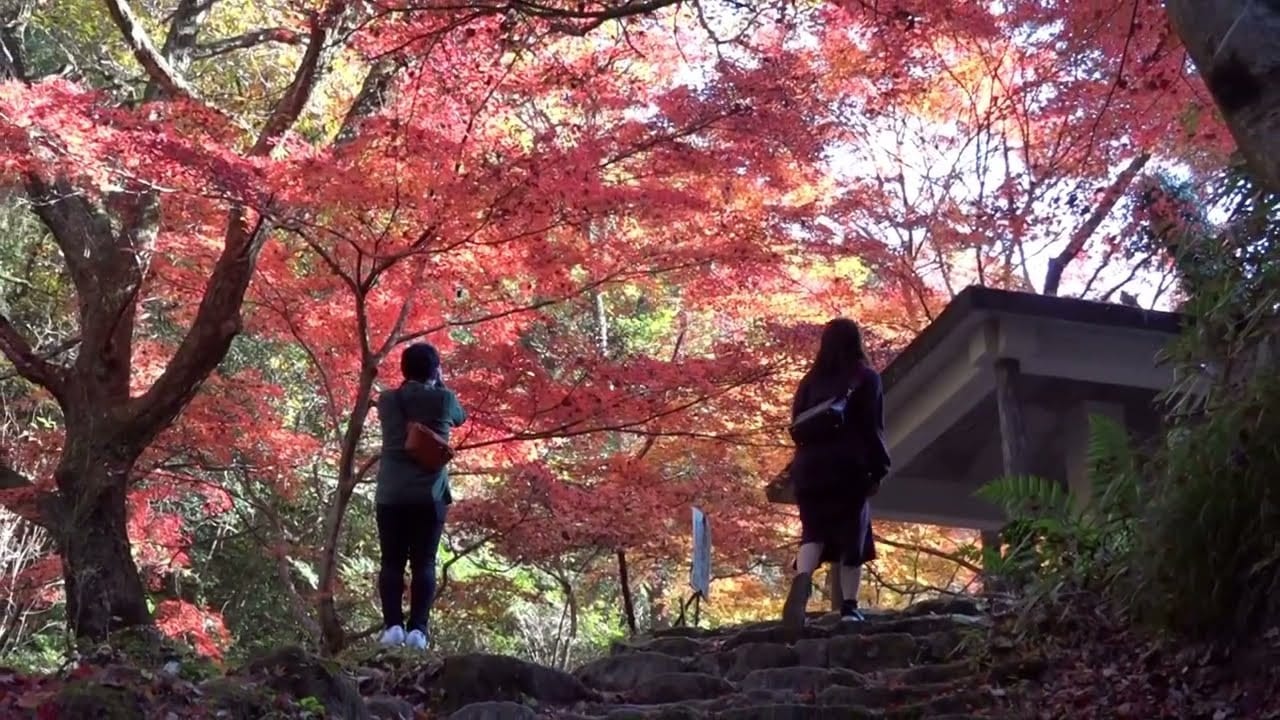 岩屋堂公園