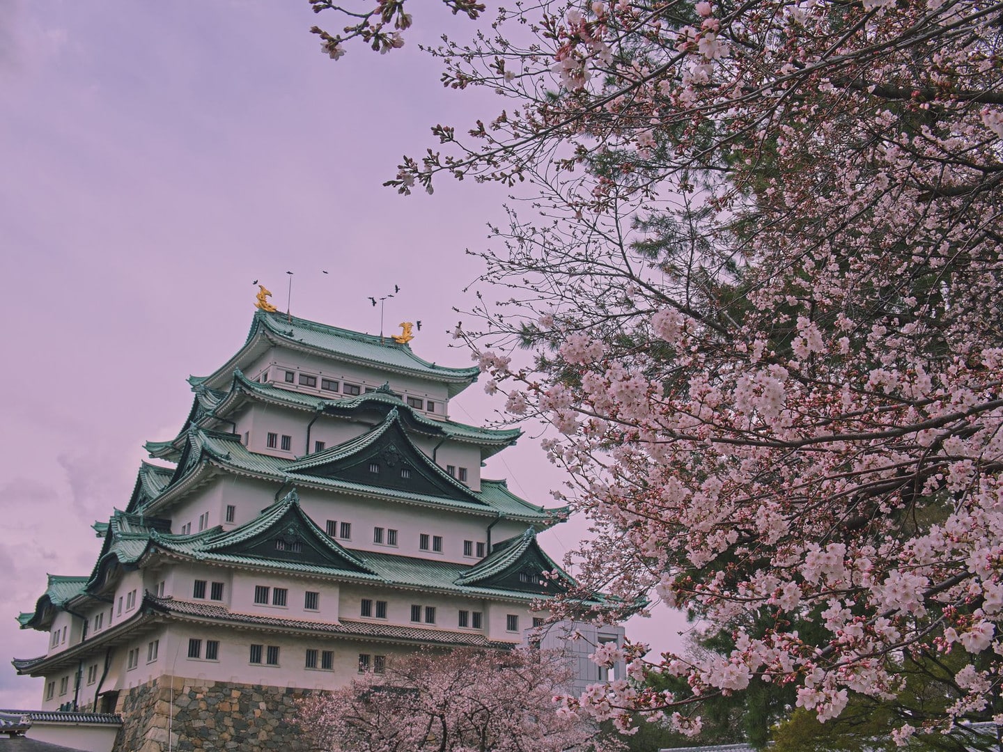 名古屋城