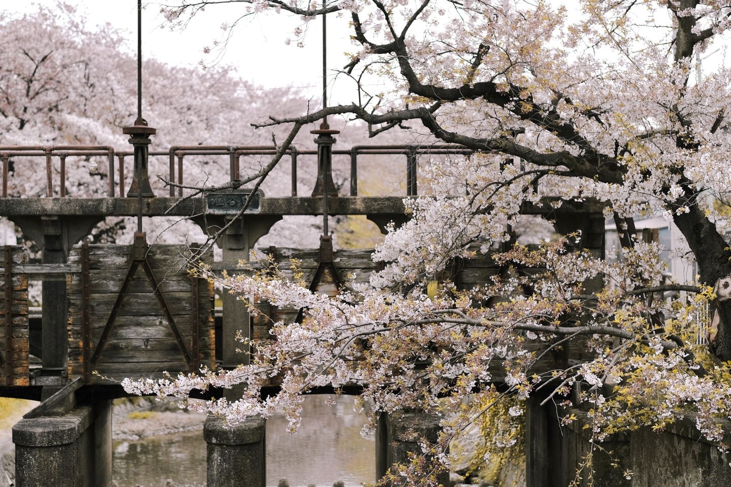 名城公園