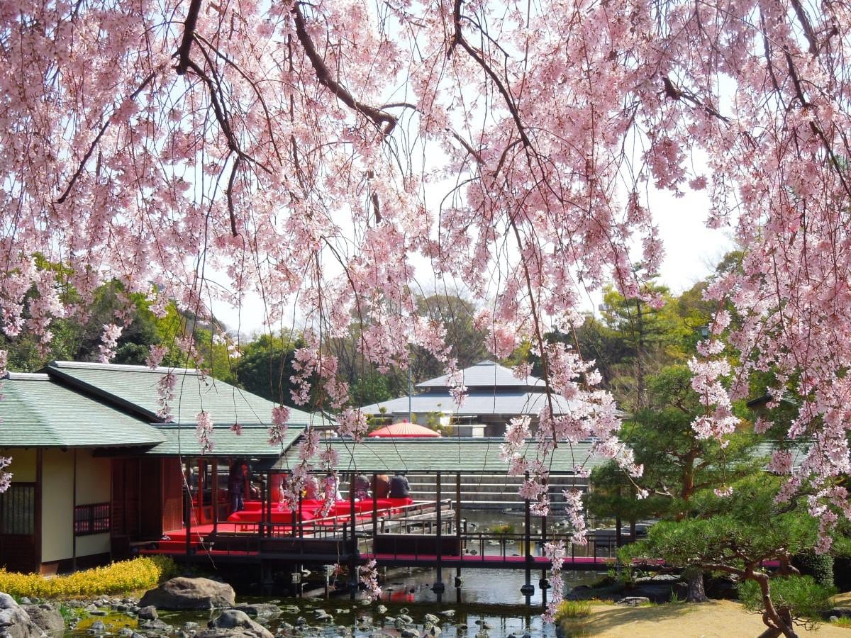 白鳥庭園
