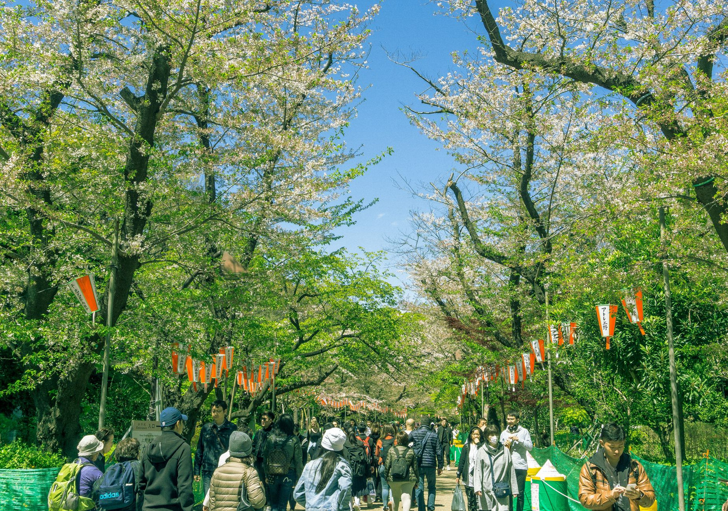 荒子川公園