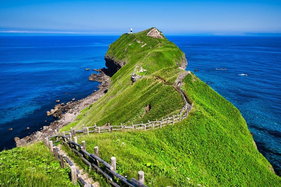 Hokkaido Day Tour | Otaru Canal, Shakotan Kamui Cape and Shiroi Koibito Park | From Sapporo (Departs daily, even for one person!)
