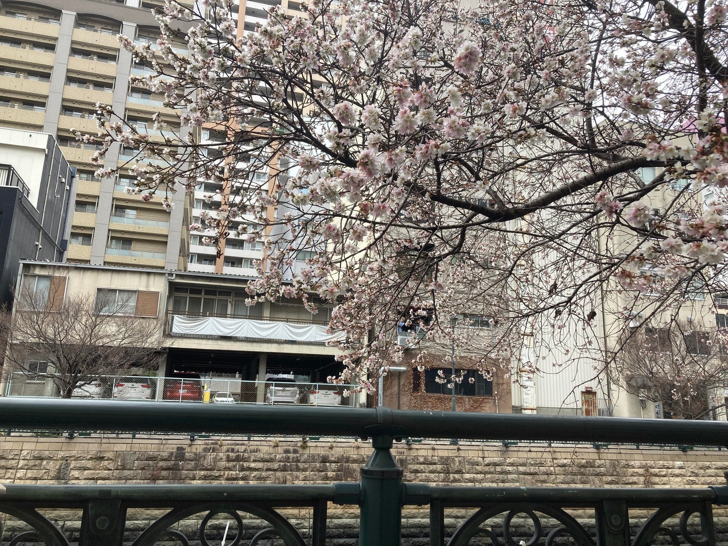 堀川納屋橋遊歩道