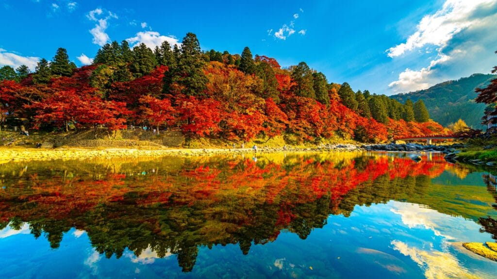 近郊山區楓紅提前