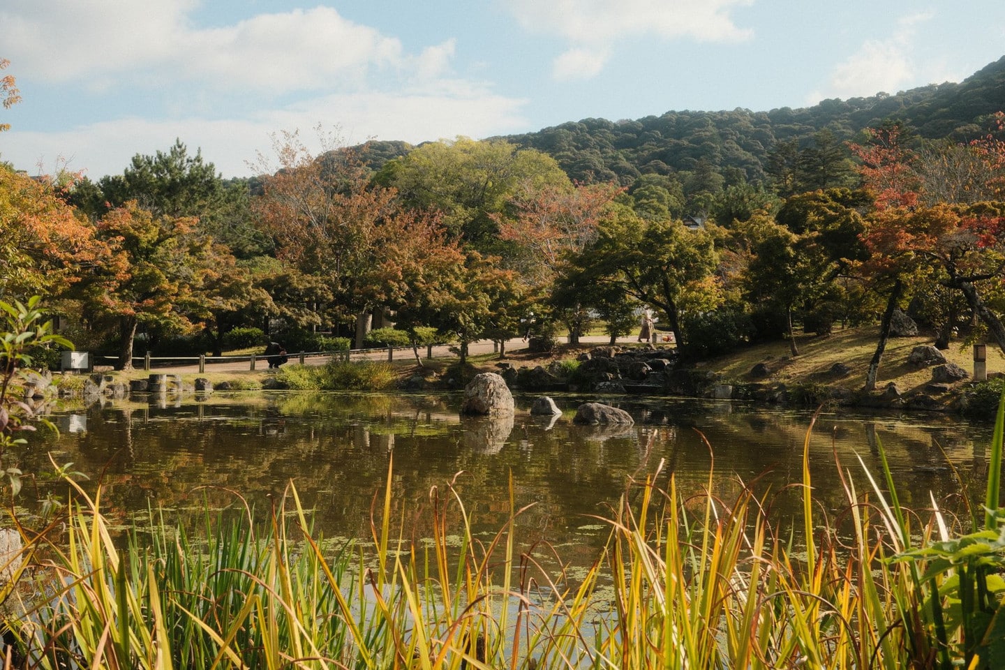 白鳥庭園