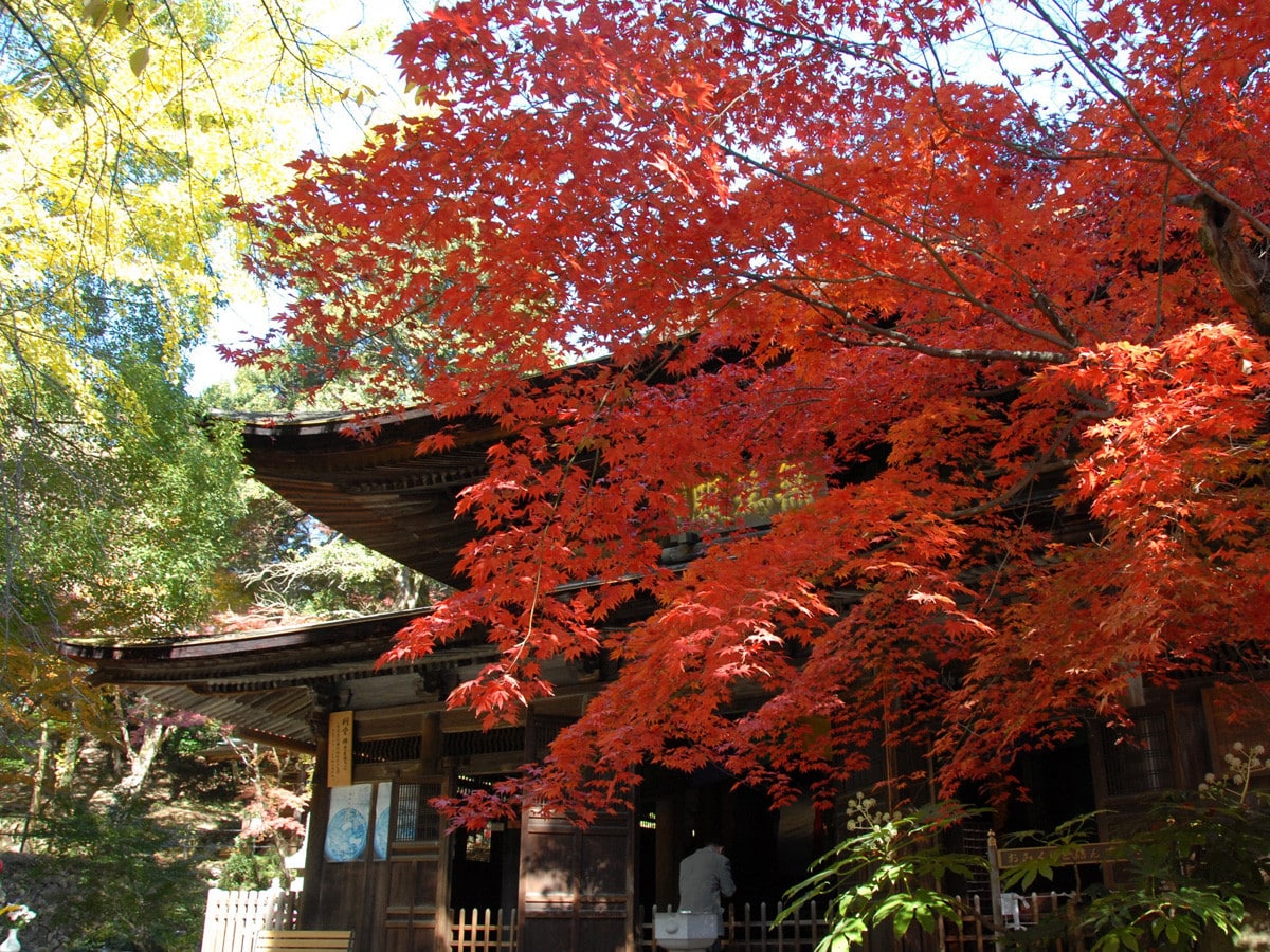 定光寺公園