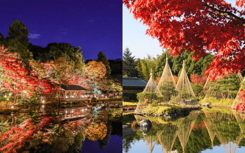 徳川園入園門票:市內首屈一指的日式庭園紅葉美景