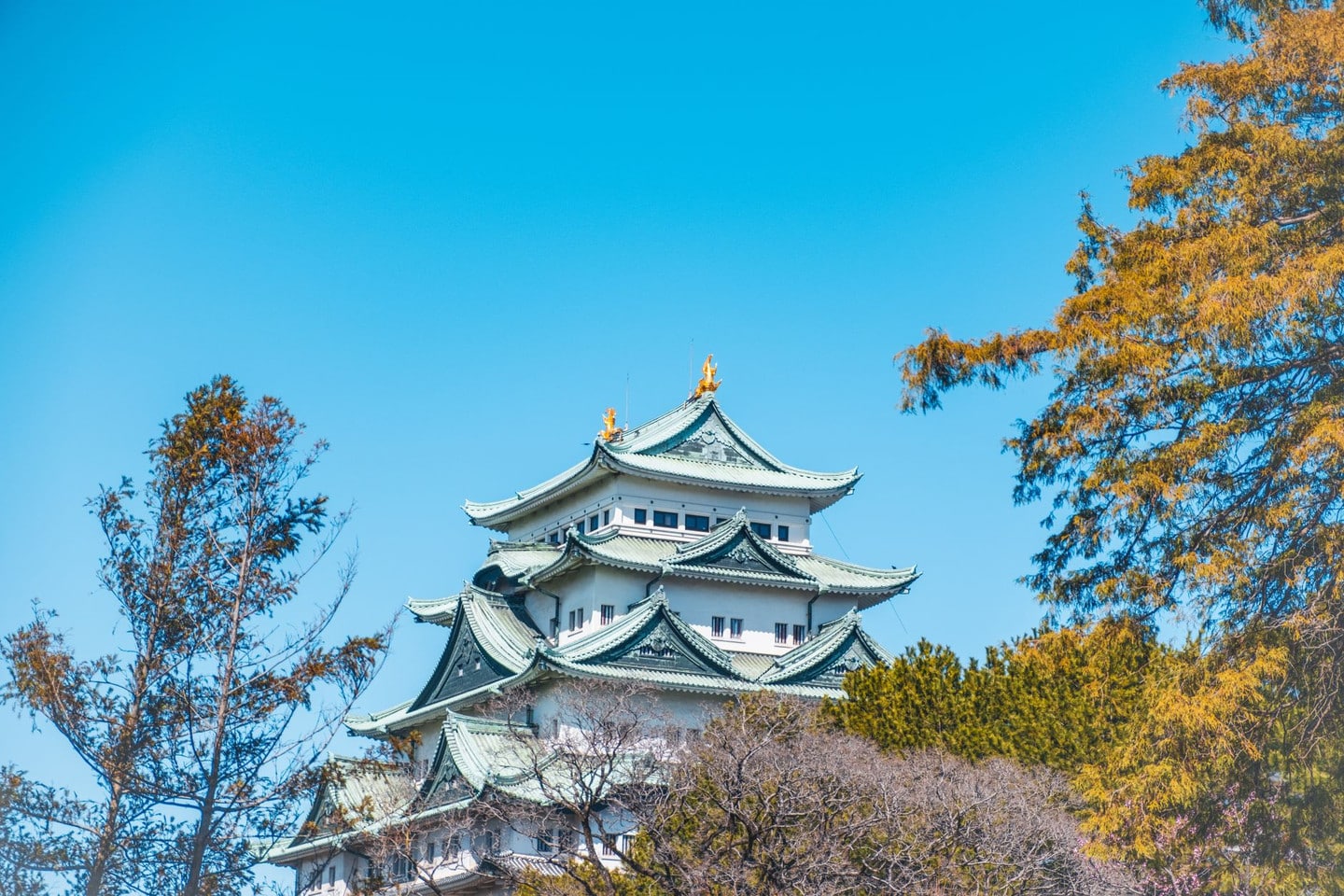 名古屋城本丸御殿與二之丸庭園門票:天守閣搭配楓紅的經典組合