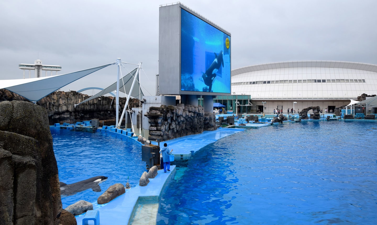 名古屋港水族館