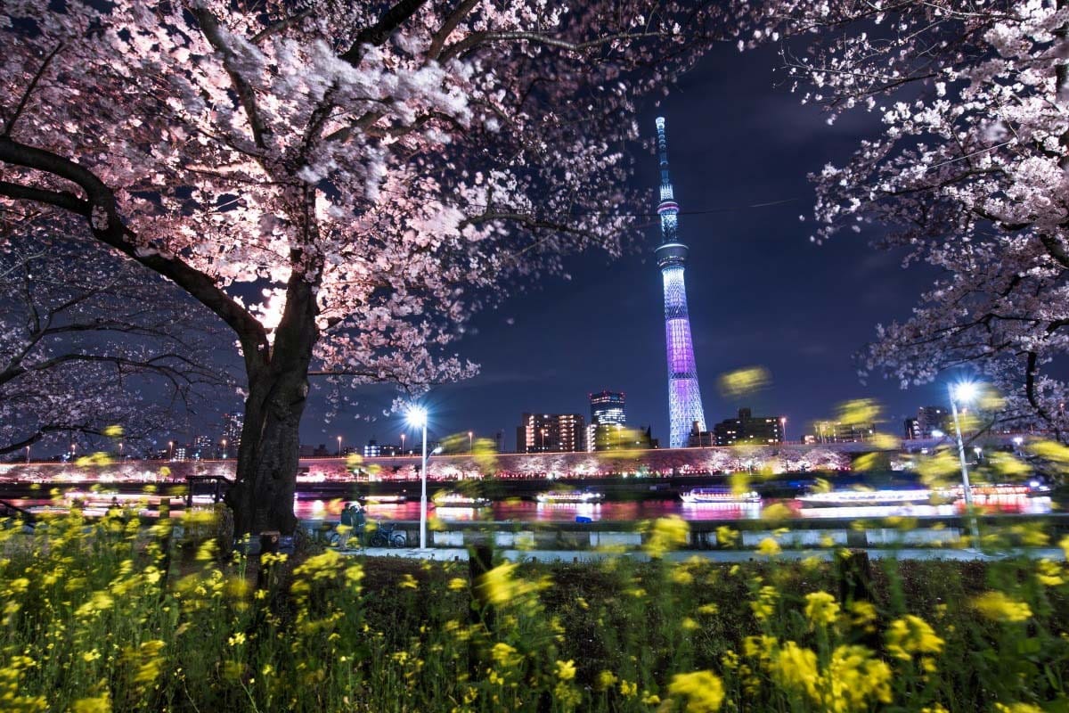 隅田公園