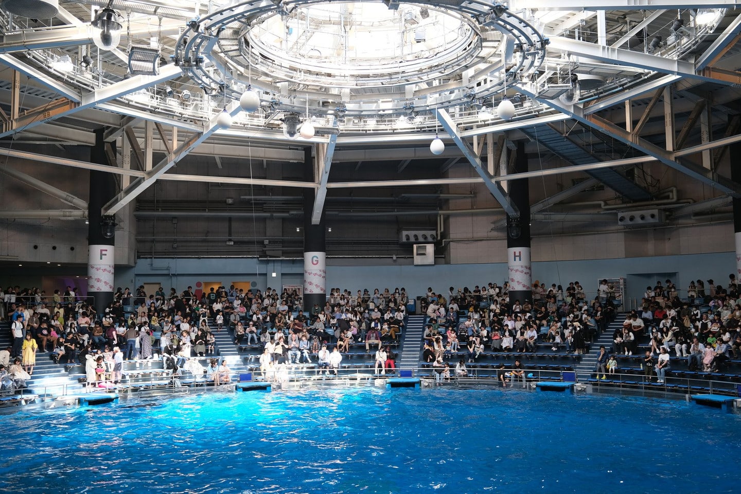 名古屋港水族館:日本面積最大、水量第一的海洋殿堂