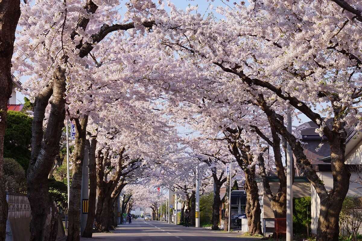 四季限定絕景