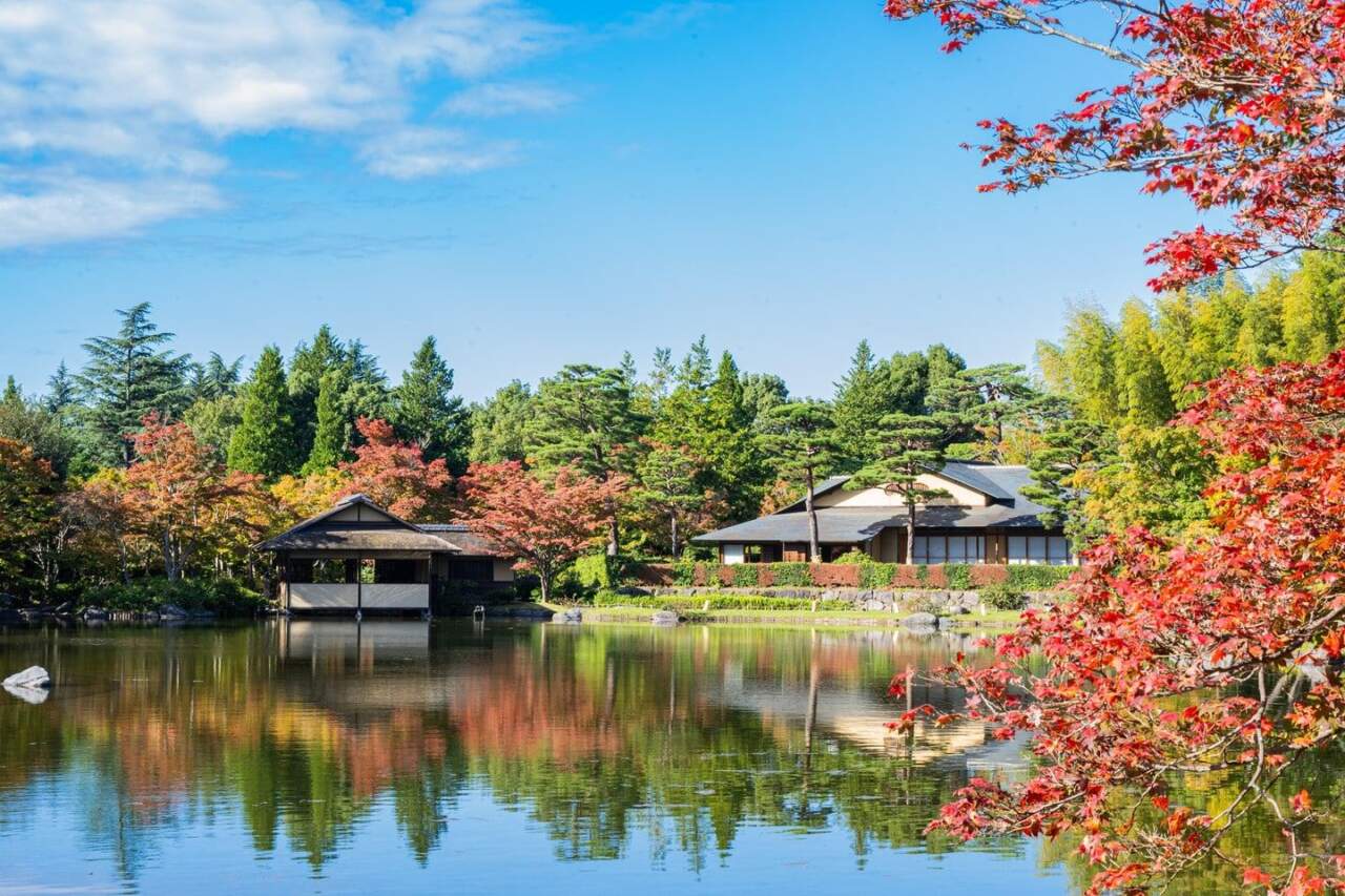 國營昭和記念公園日本庭園的池畔紅葉與茶室