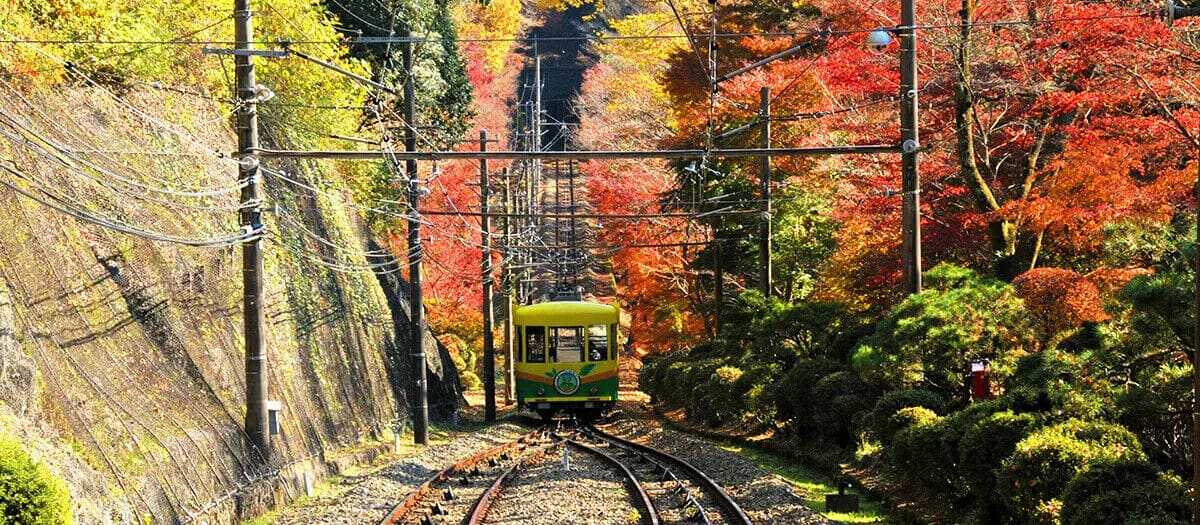 高尾山纜車行駛於紅葉之中