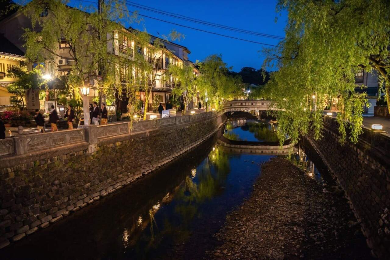 城崎溫泉大谿川沿岸的柳樹與夜間外湯巡禮街景