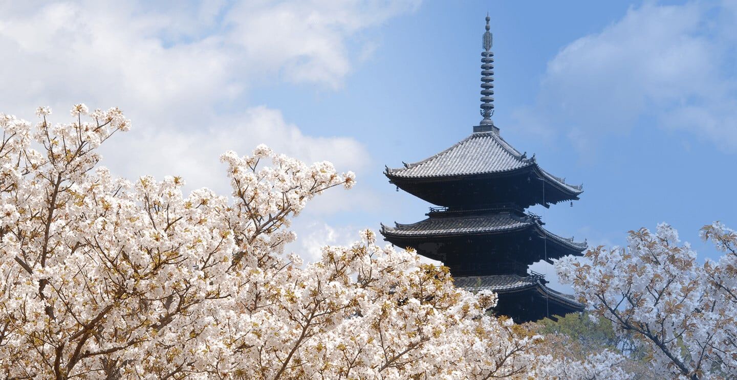 仁和寺五重塔塔身特寫，各層寬度相近的東寺型塔姿
