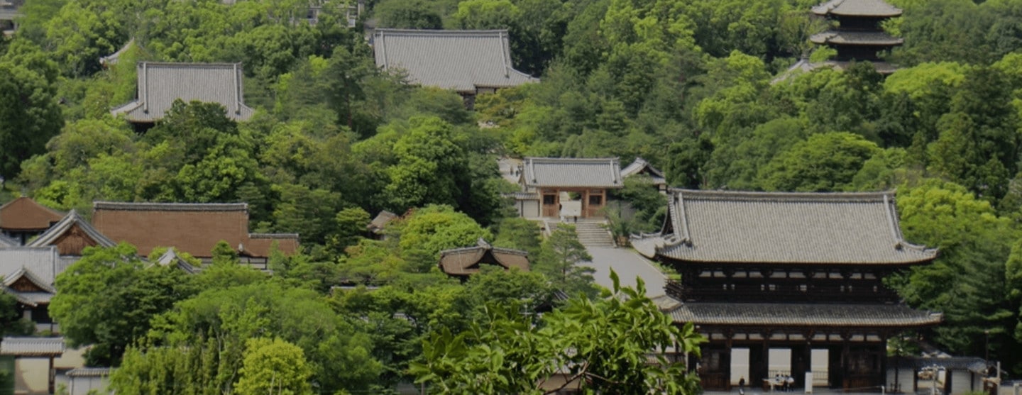 仁和寺境內俯瞰，前方二王門、階梯上方的中門與各殿堂相連