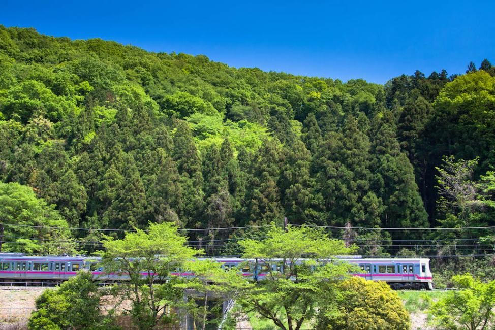 東京交通票券|京王線一日券+高尾山纜車套票