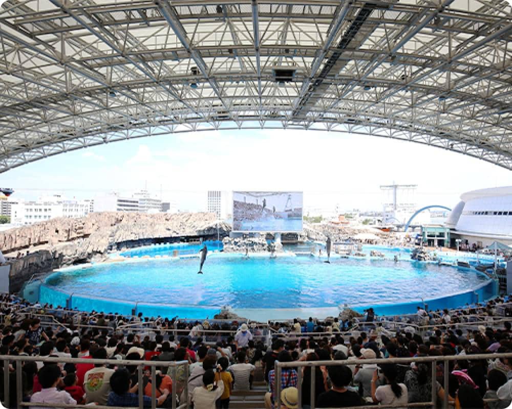 名古屋港水族館主水池的海豚表演與滿場觀眾看台