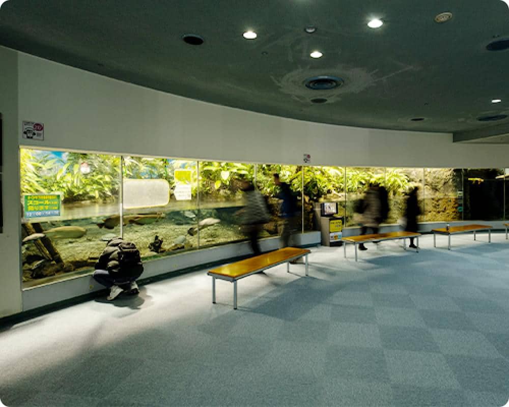 名古屋港水族館澳大利亞的水邊展區長廊與水岸生態水槽