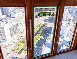 札幌電視塔展望台「可怕的窗戶」向下俯瞰大通公園