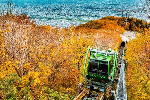 藻岩山迷你登山纜車Morris Car行駛於秋季森林軌道