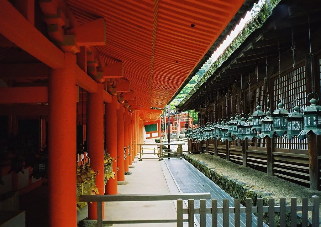 春日大社本殿特別參拜:近距離感受千年神社的莊嚴核心