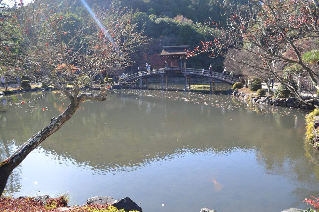 虎溪山永保寺：樹齡700年古寺與千年銀杏的稀有共演